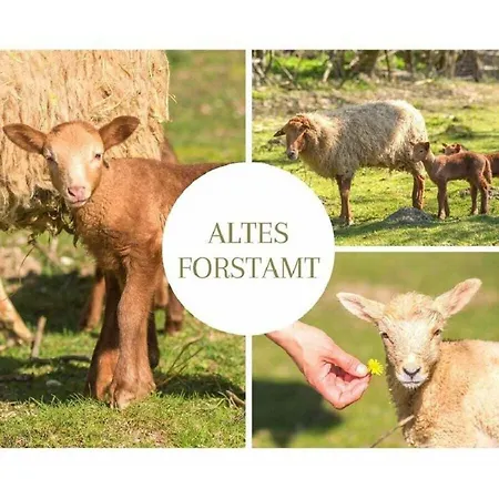 In A Wooded Area On Faak Prázdninový dům Altenbeken