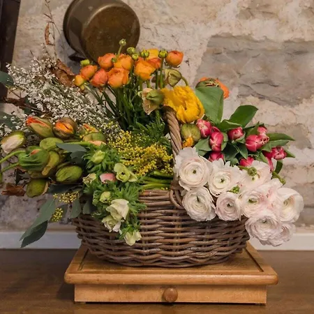 In A Wooded Area On Faak * Altenbeken