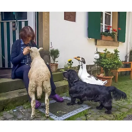 In A Wooded Area On Faak Prázdninový dům