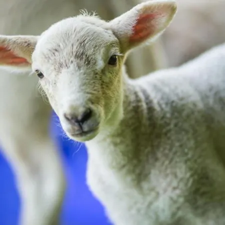 Prázdninový dům In A Wooded Area On Faak Altenbeken