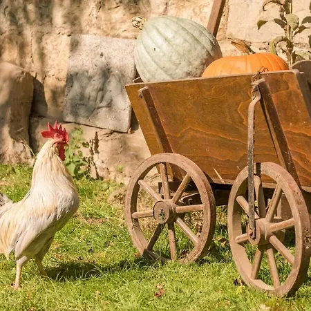 In A Wooded Area On Faak * Altenbeken