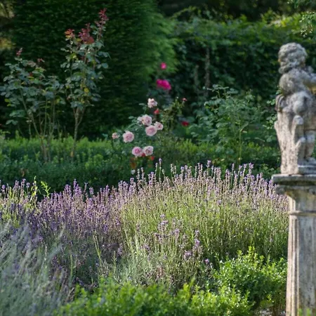 In A Wooded Area On Faak