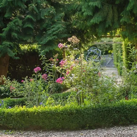 In A Wooded Area On Faak Altenbeken