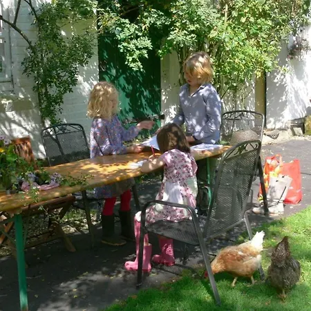 In A Wooded Area On Faak