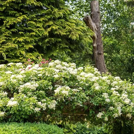In A Wooded Area On Faak Prázdninový dům Altenbeken
