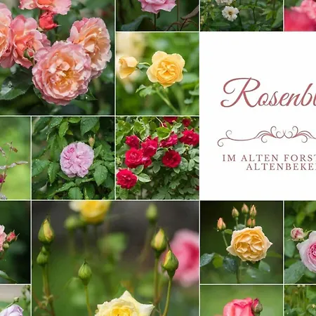 Prázdninový dům In A Wooded Area On Faak *