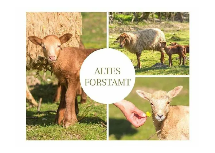 In A Wooded Area On Faak Vakantiehuis Altenbeken