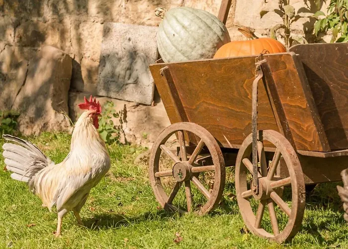 In A Wooded Area On Faak * Altenbeken