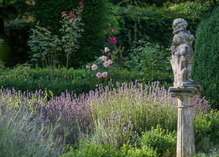 In A Wooded Area On Faak