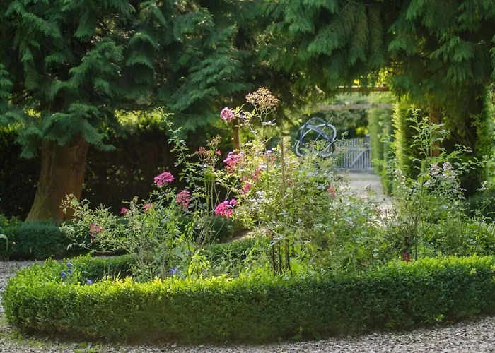 In A Wooded Area On Faak Altenbeken