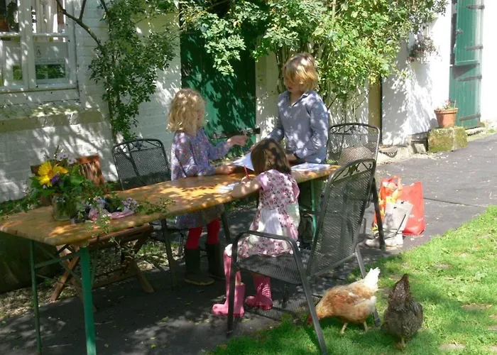 In A Wooded Area On Faak