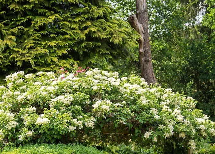 In A Wooded Area On Faak Vakantiehuis Altenbeken