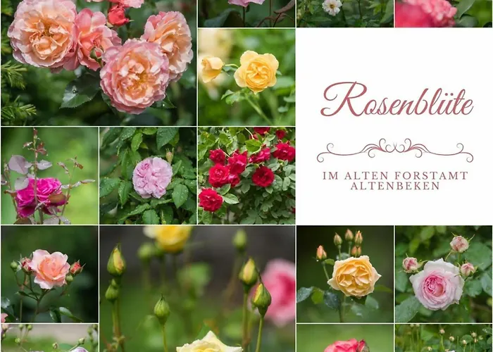 Vakantiehuis In A Wooded Area On Faak *